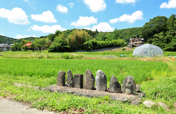 初夏の本郷 初夏の本郷