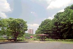 内裏谷戸公園