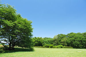 片倉城跡公園−二の丸広場