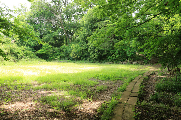 原町田ふるさとの森 原町田ふるさとの森