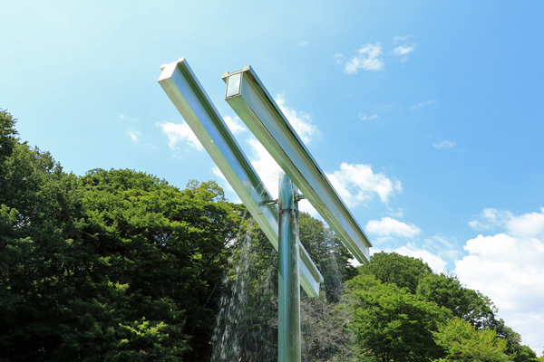 夏の芹ヶ谷公園 夏の芹ヶ谷公園