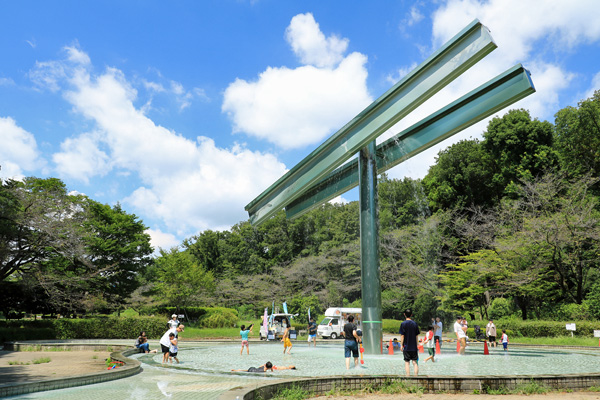 夏の芹ヶ谷公園 夏の芹ヶ谷公園