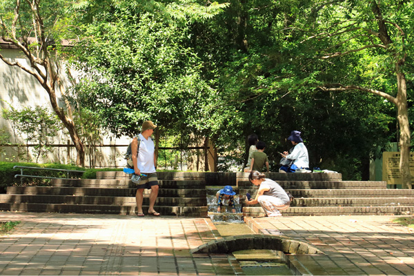 夏の芹ヶ谷公園 夏の芹ヶ谷公園