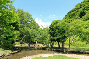 相模川自然の村公園