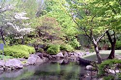 桜ヶ丘公園　大谷戸の池