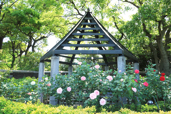 アメリカ山公園 アメリカ山公園