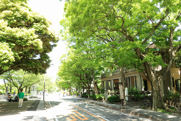 山手234番館 山手234番館