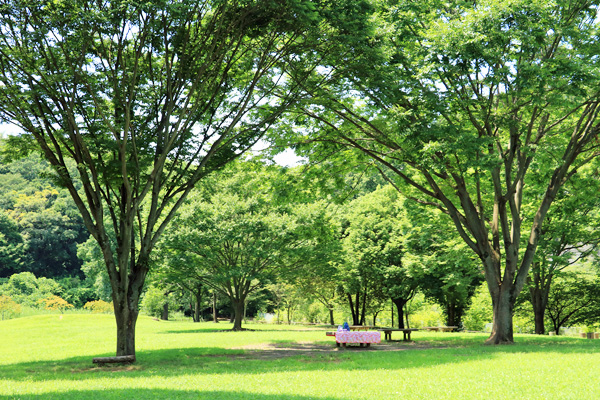 北八朔公園 北八朔公園