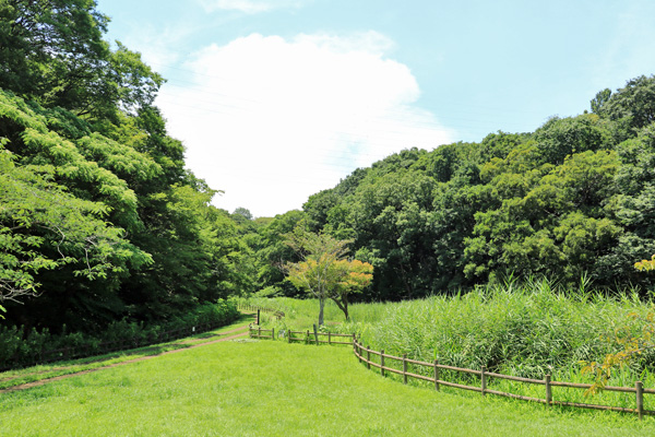 北八朔公園 北八朔公園