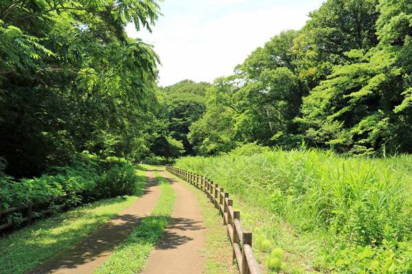 北八朔公園 北八朔公園