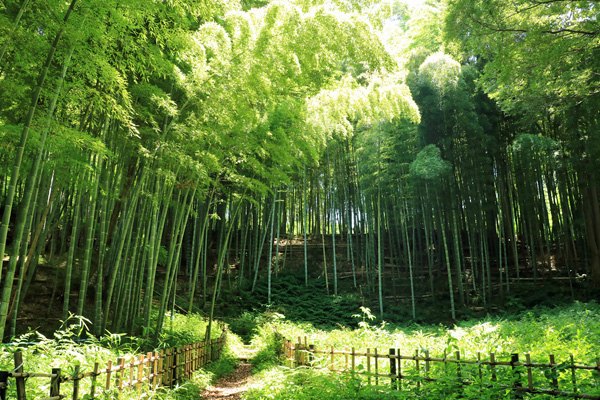 北八朔公園 北八朔公園
