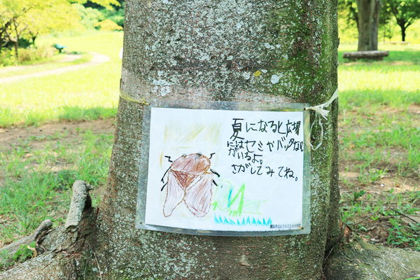 北八朔公園 北八朔公園