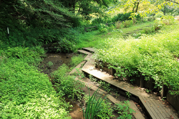 北八朔公園 北八朔公園