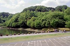 都筑中央公園−円形広場から宮谷戸の大池を望む
