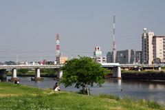 鶴見川河岸
