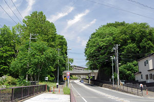 日金沢橋から見る横山公園と横山丘陵緑地