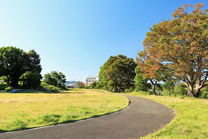 横川町住宅北側の遊歩道