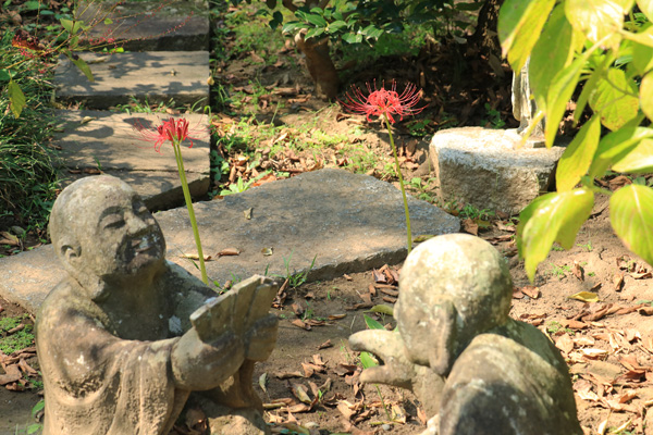 彼岸花の咲く浄慶寺 彼岸花の咲く浄慶寺