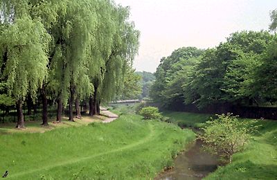 野川公園