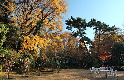 紅葉の東京都庭園美術館