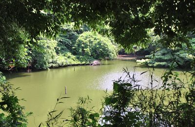新林公園／川名大池