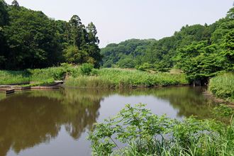 茅ヶ崎里山公園