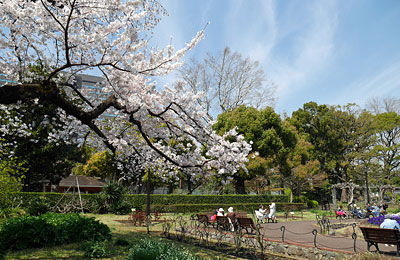桜咲く日比谷公園