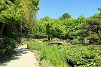 平塚市総合公園／日本庭園