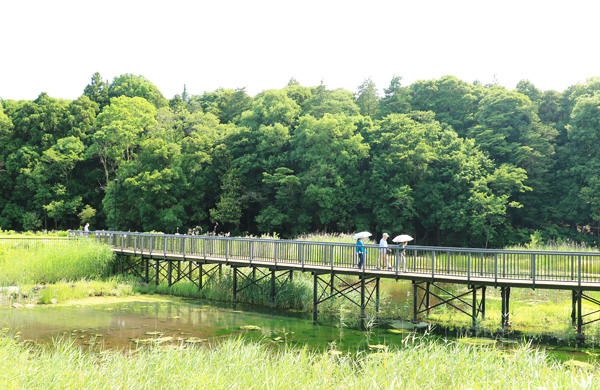 遠藤笹窪谷公園 遠藤笹窪谷公園