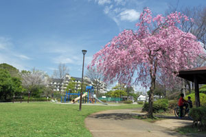 春の別所公園