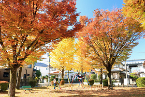 紅葉に染まる清川２号公園