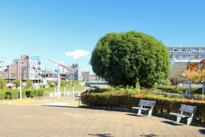 大栗川公園