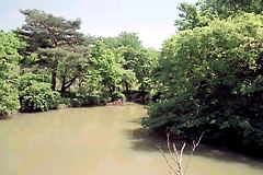 柳沢の池公園−柳沢の池