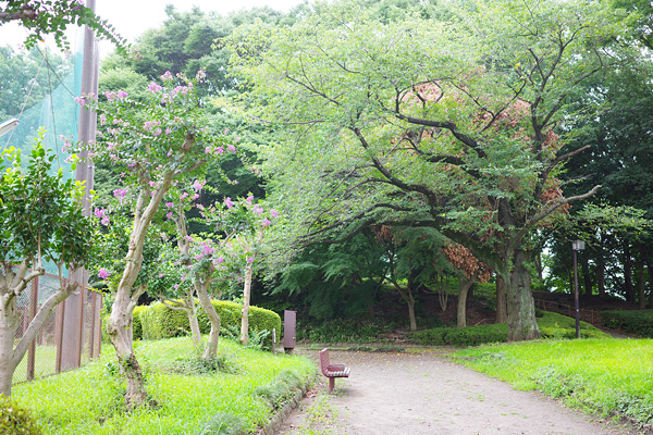 百日紅の咲く横山公園
