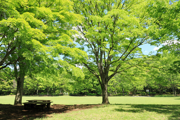 大谷戸公園 大谷戸公園