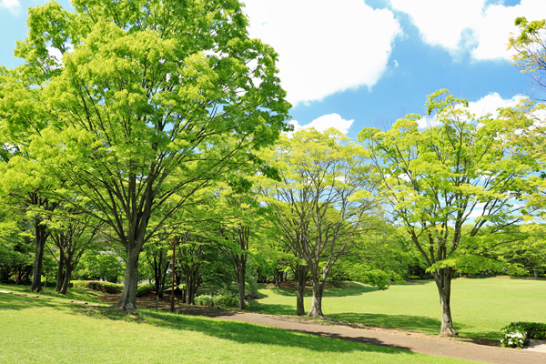 大谷戸公園 大谷戸公園
