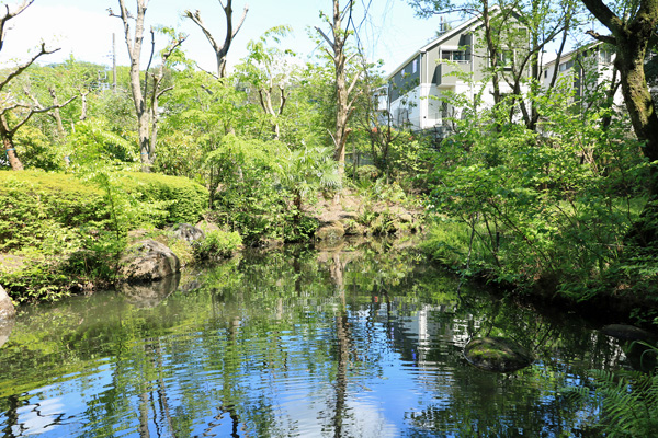 大谷戸公園 大谷戸公園