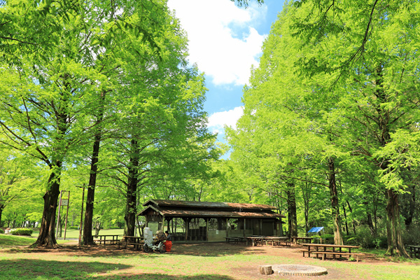 大谷戸公園 大谷戸公園