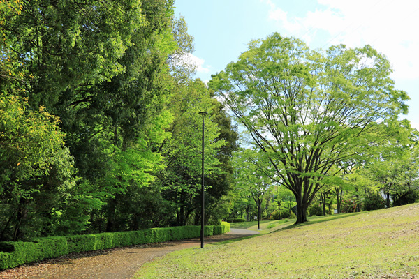 大谷戸公園 大谷戸公園