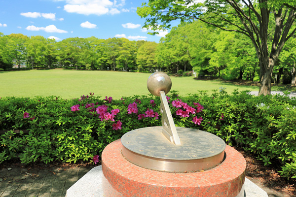 大谷戸公園 大谷戸公園