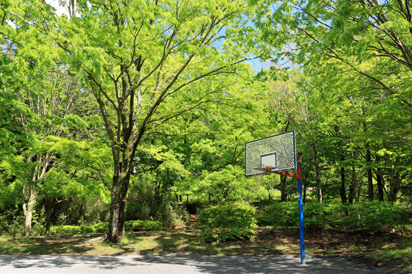 大谷戸公園 大谷戸公園