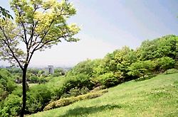 桜ヶ丘公園　ひぐらし坂付近