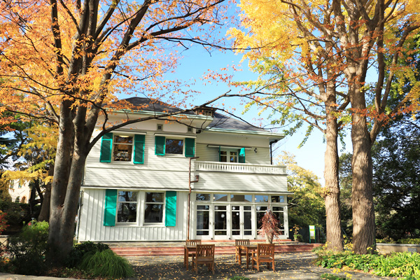 黄葉の元町公園 黄葉の元町公園