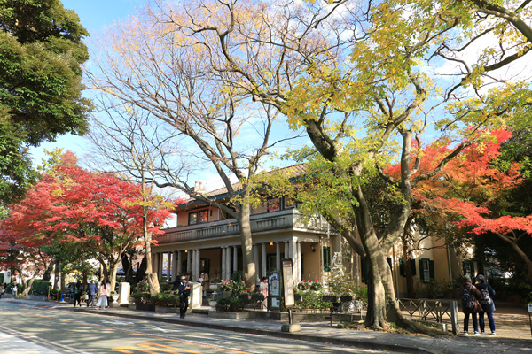 黄葉の元町公園 黄葉の元町公園