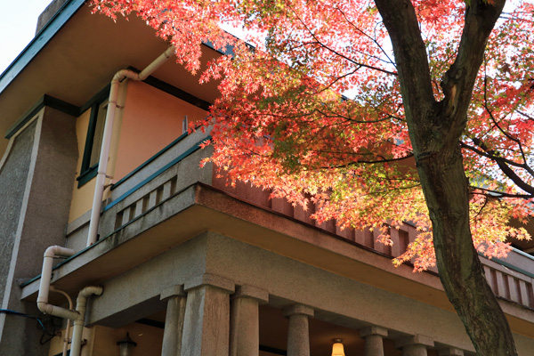 黄葉の元町公園 黄葉の元町公園