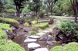 横浜公園／日本庭園