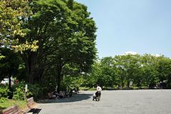 菊名池公園の広場