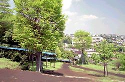 豊顕寺市民の森東側の公園