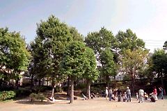 見花山かりん公園