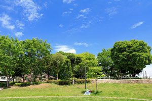 山田富士公園